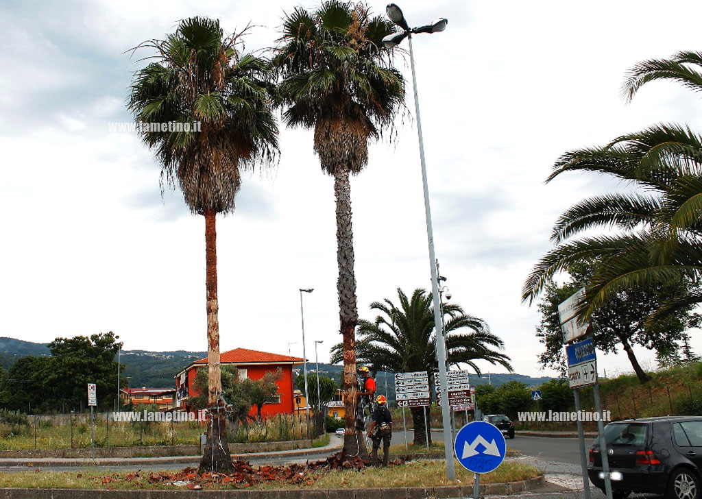 Lamezia: prosegue opera pulizia aree verdi da parte della Malgrado Tutto