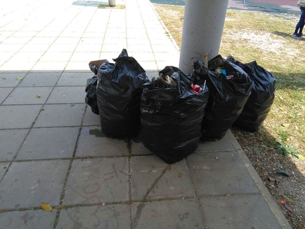 pulizia-parco_3.jpg