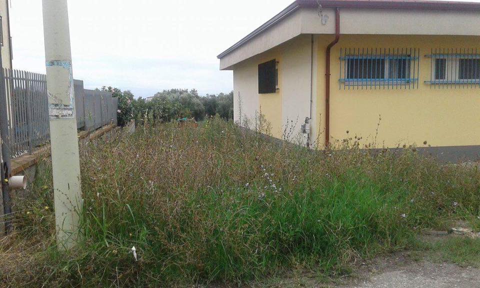 Lamezia, CasaPound ripulisce scuola dell'infanzia Adamello