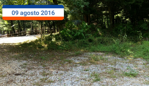 puliziaprolocofalerna.jpg