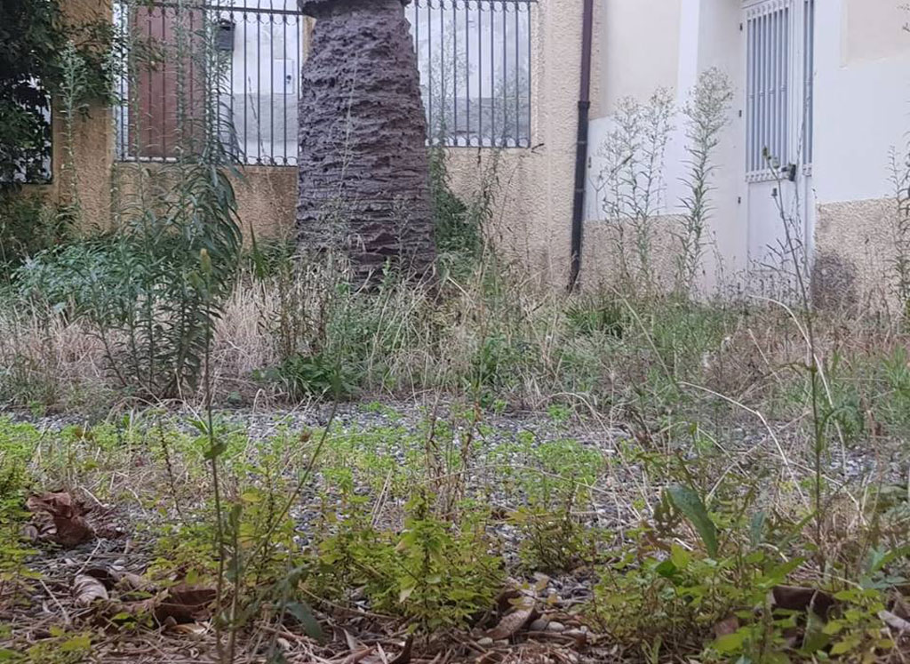 quartiere-torre-degrado-erbacce30082018.jpg