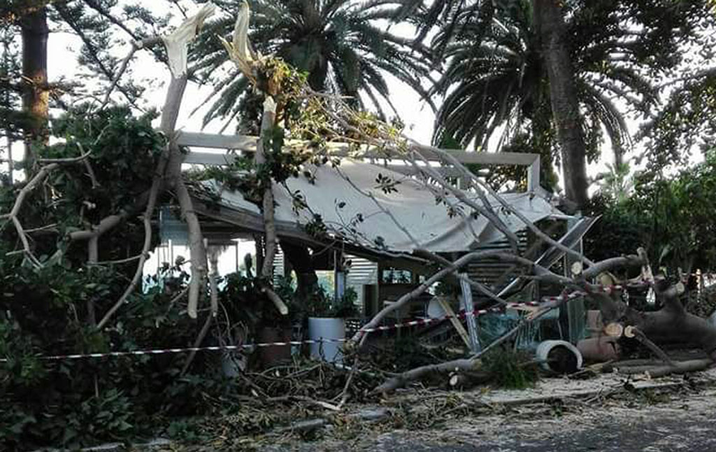 Ramo albero cade su gazebo gelateria a Reggio Calabria, nessun ferito 