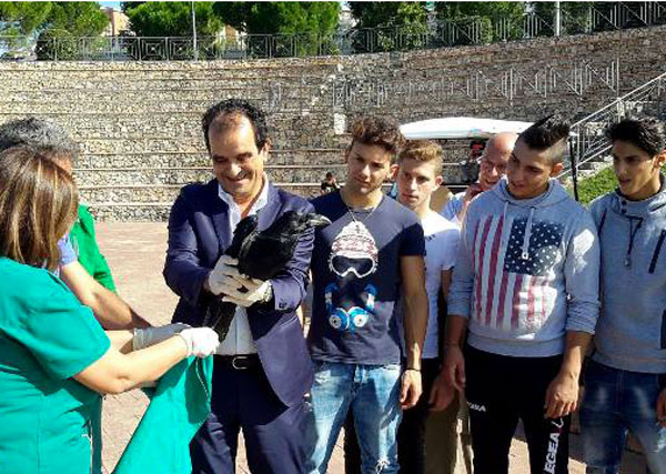 Rimessi in libertà rapaci curati da Cras Catanzaro 