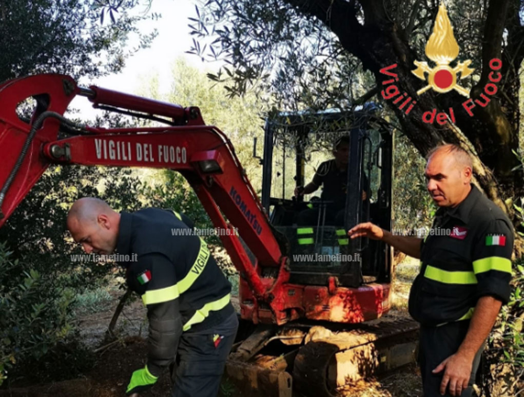 Lamezia: ancora nessuna traccia del piccolo Nicolò, ricerche proseguono ininterrottamente - VIDEO