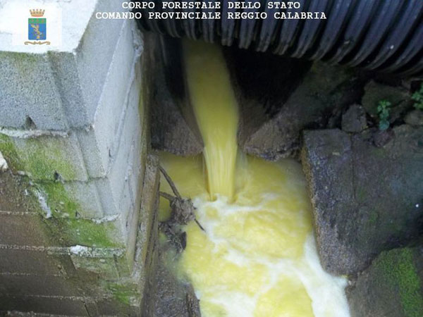 Scaricava reflui frantoio in torrente, denunciato proprietario nel reggino