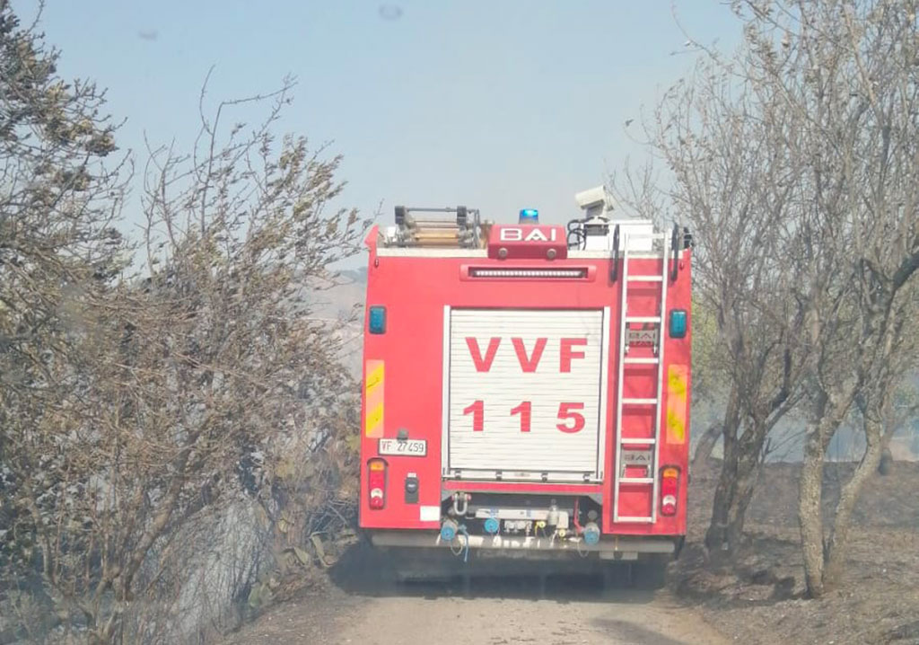 Incendi, fiamme sulle colline di Reggio Calabria minacciano abitazioni 