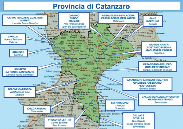 ‘Ndrangheta, relazione semestrale Dia: “A Lamezia nuove reclute per mantenere alta la pressione sul territorio”