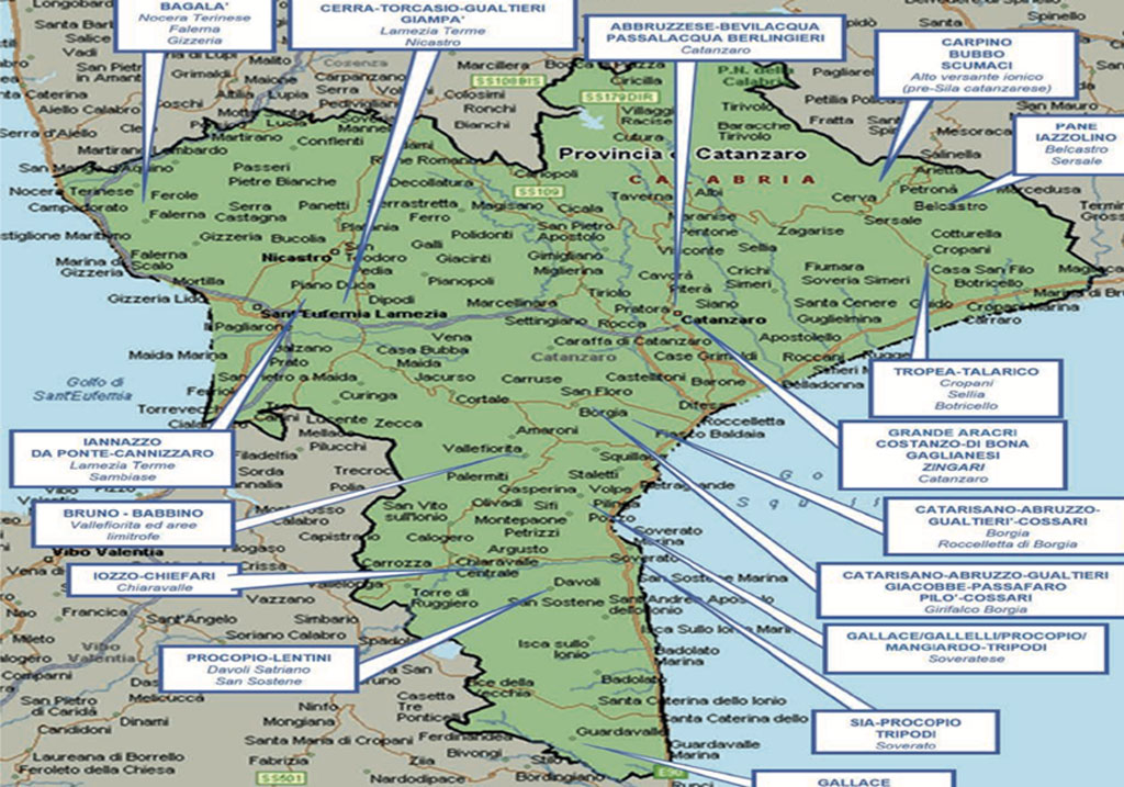 relazione-dia-lamezia7.38_2ec4a.jpg