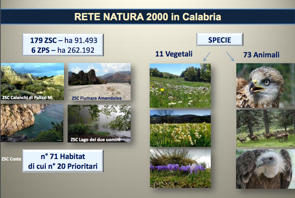 Assessore De Caprio illustra programma a sostegno della biodiversità: "Obiettivo discariche zero in 2 anni"