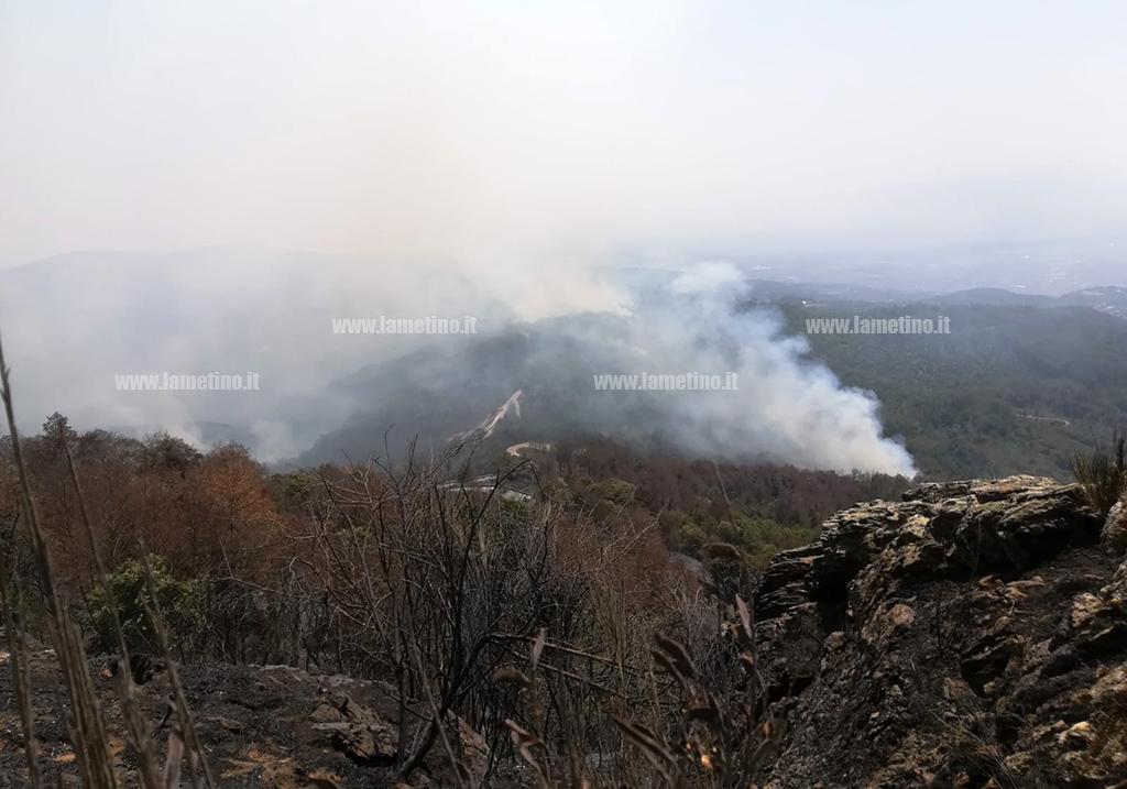 Emergenza incendi, appello Agesci Zona del Reventino per salvaguardia patrimonio boschivo