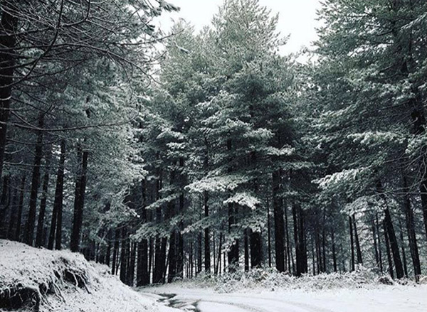 reventino-innevato.jpg
