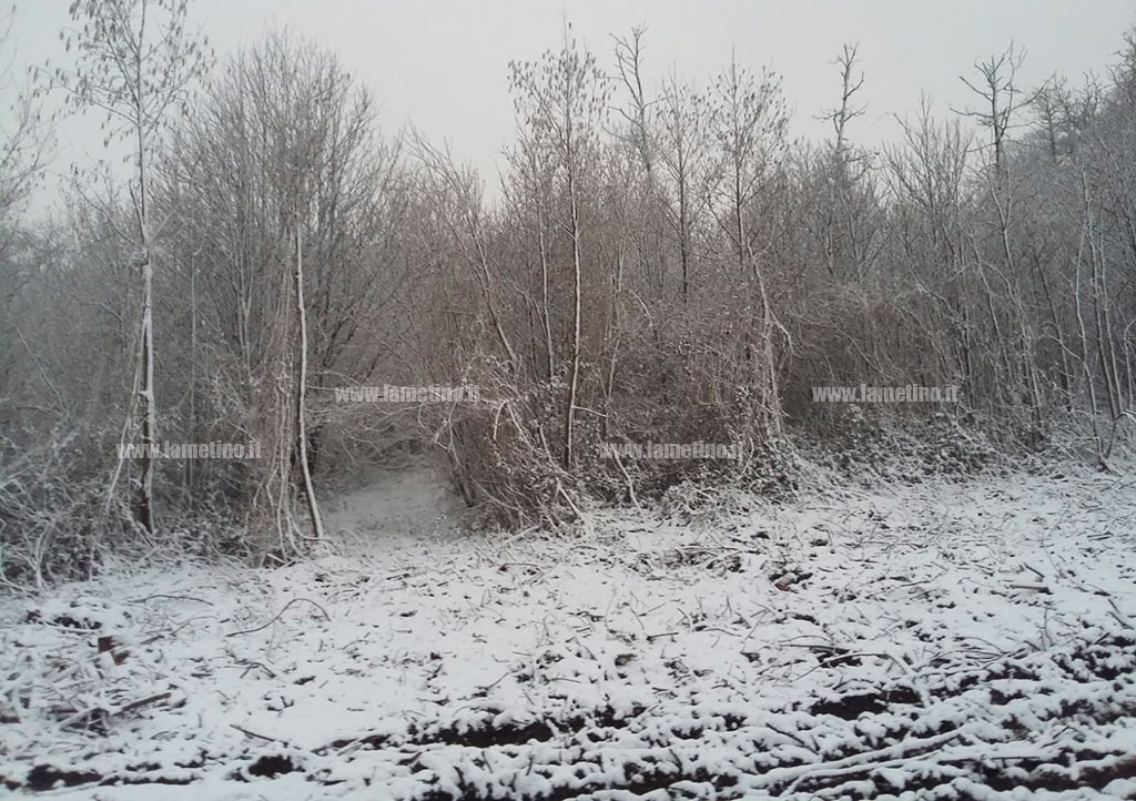 reventino-neve-3_571cb.jpg