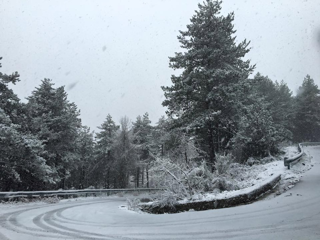 reventino-neve-4.jpg