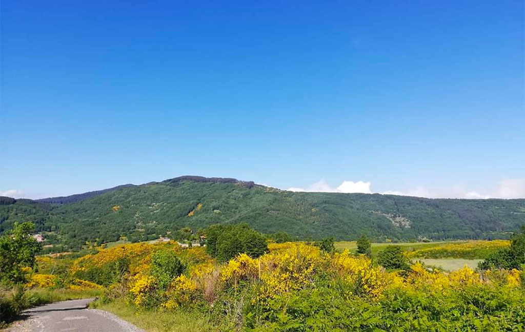 reventino_34b93_34967.jpg