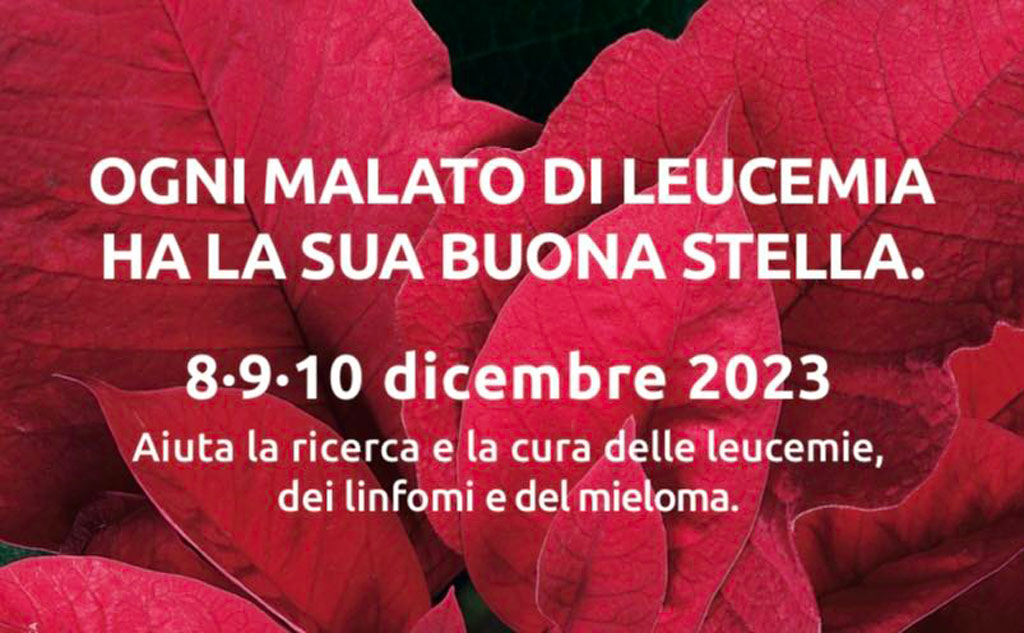 ricerca-leucemie_d1c54.jpg