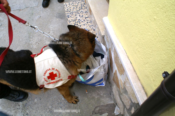 ricerca_uomo14012012