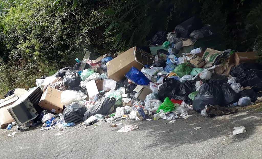 Lamezia, Gianturco: “Zone collinari nell’abbandono. Intervenire in via Giuseppe Mastroianni e Via Annunziata”