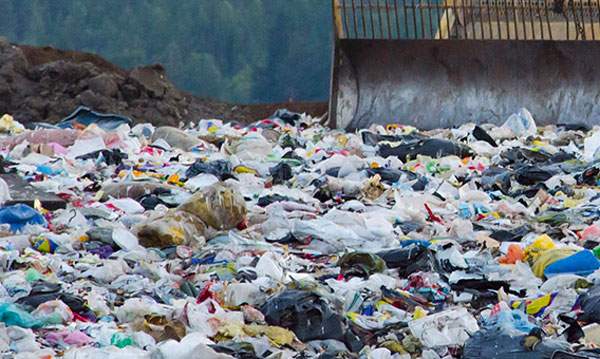 Rifiuti, Ato Catanzaro contro Regione: "Impugnato atto su uso della discarica di Lamezia"