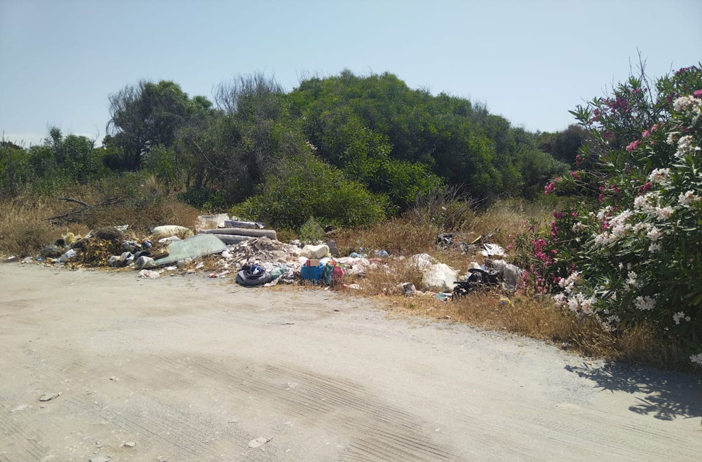 rifiuti-ginepri_78226.jpg