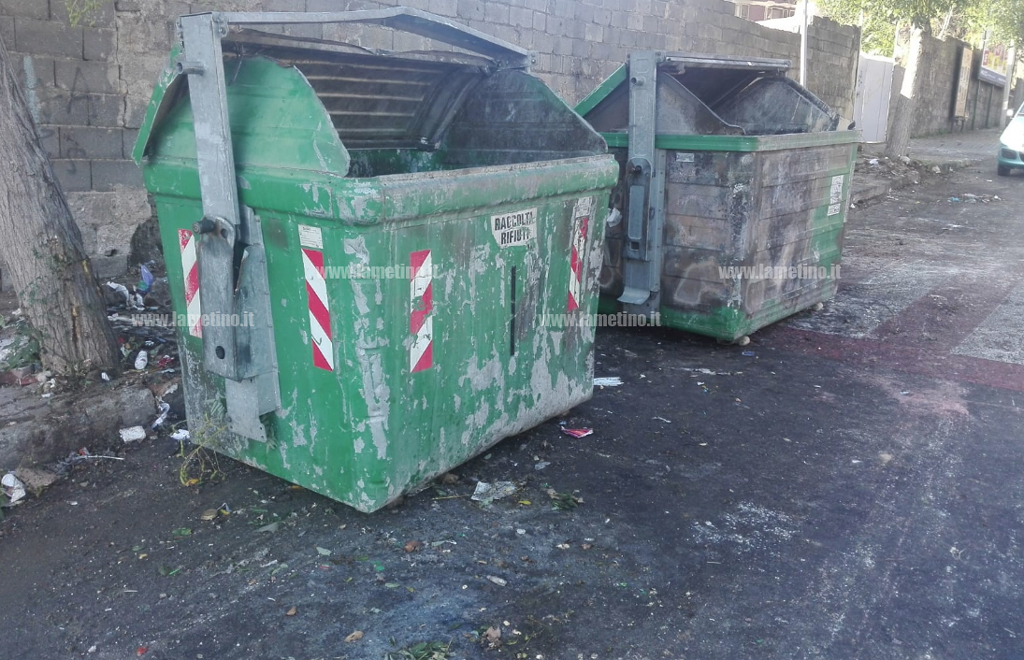 rifiuti-raccolti-1-24102018.jpg