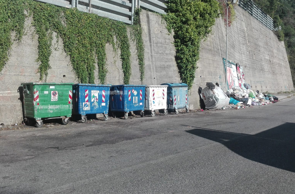 rifiuti-raccolti-324102018.jpg