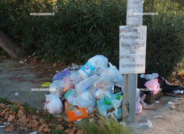 rifiuti-sant-eufemia-nov-2014-lamezia-2.jpg