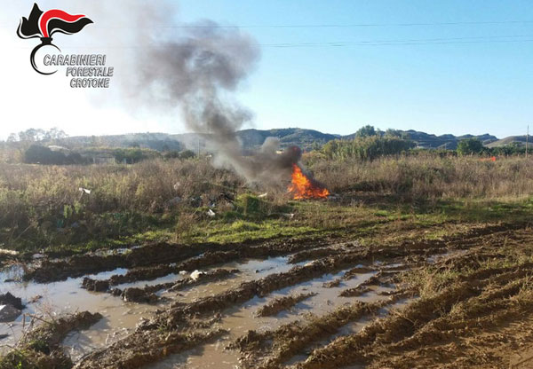 Sorpresi a bruciare rifiuti, tre denunce nel crotonese 