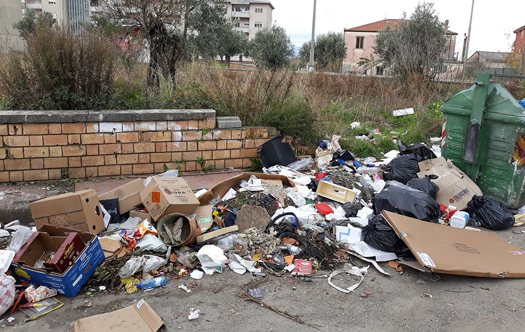 Lamezia, Branca (Lega): “Serve bonifica di fronte l’Istituto comprensivo Saverio Gatti”