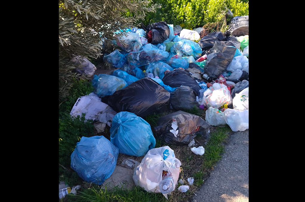 Casapound Lamezia: "Nell'area mercatale “Pino Cosentino” una discarica a cielo aperto"