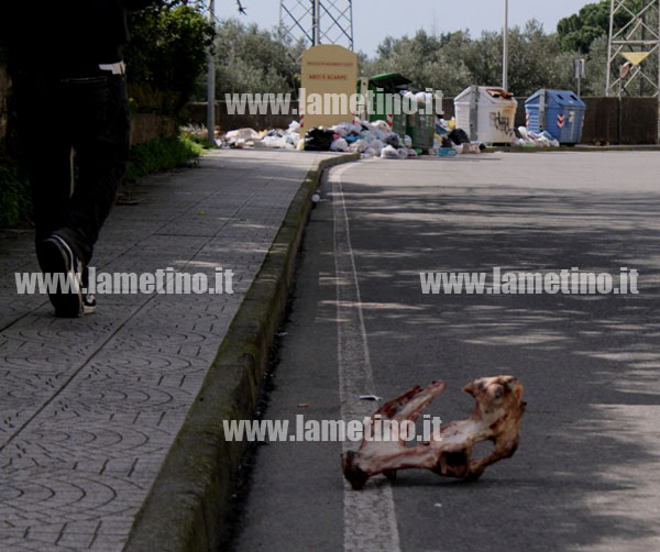 rifiuti_via_dalla_chiesa_carcassa_macelleria.jpg