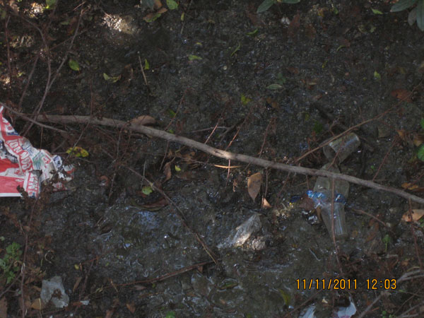 rione-motta-11-11-2011-003