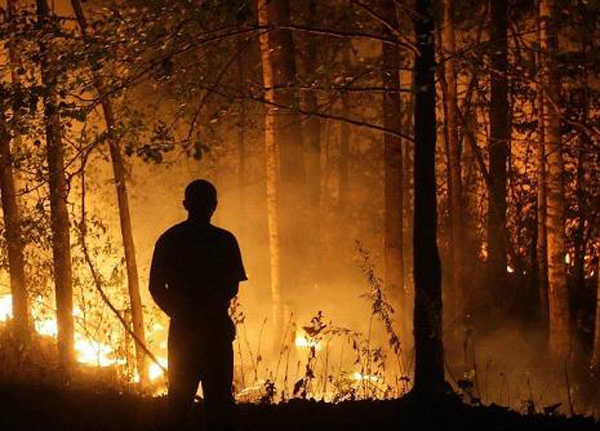 Calabria: bando da 4,5 mln al sud per progetti su prevenzione aree protette 