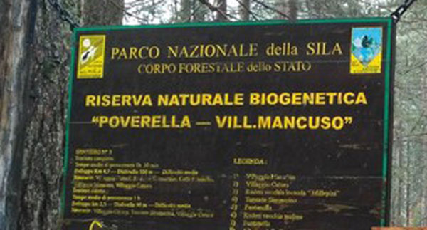 In Sila "La Notte Bianca della Biodiversità" promossa dai Carabinieri l'11 e 12 agosto