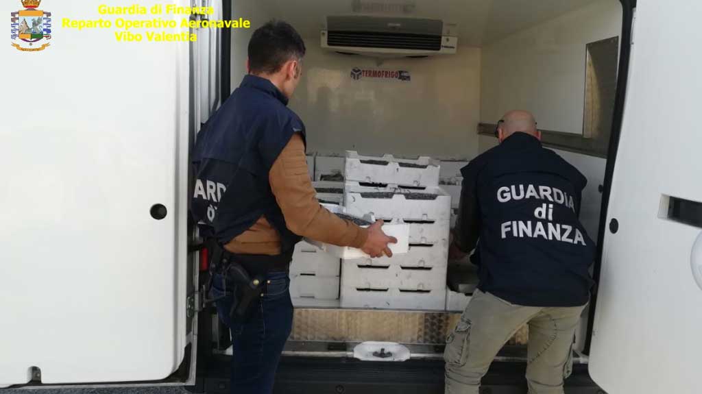 Finanzieri sequestrano oltre 5 quintali di novellame di sarda, sanzionato responsabile nel crotonese 