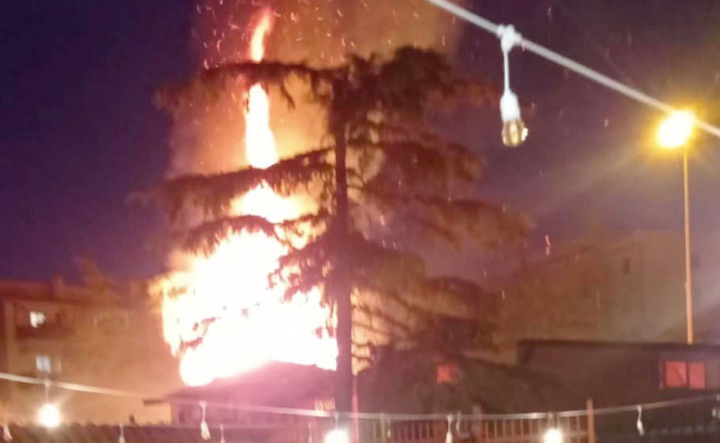 Incendia palma del giardino Comunale a Rocca di Neto, denunciato 29enne