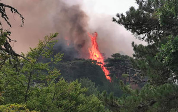 Promozione Italia vicino all’Ente Parco Nazionale dell’Aspromonte