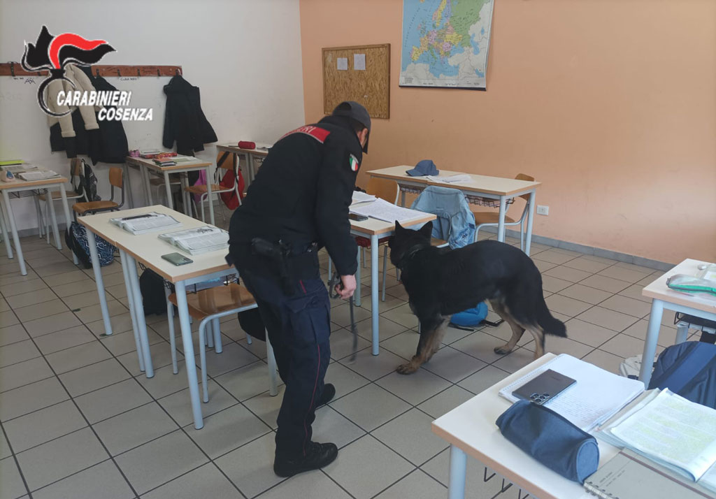Controlli antidroga nelle scuole, a Rogliano carabinieri ispezionano 14 classi