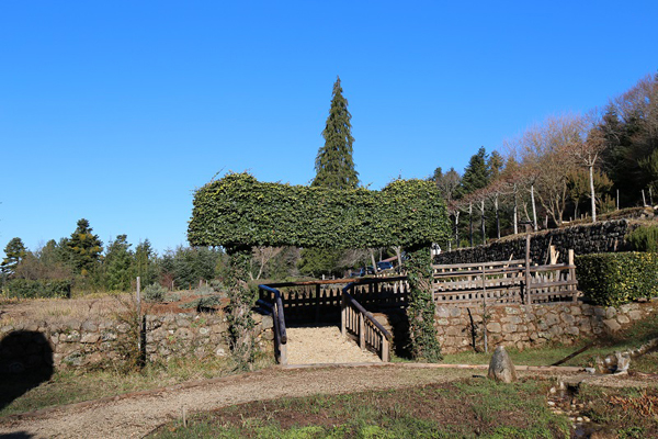 Regione: 13 milioni di euro a Calabria verde, Consorzi di Bonifica e Parco delle Serre