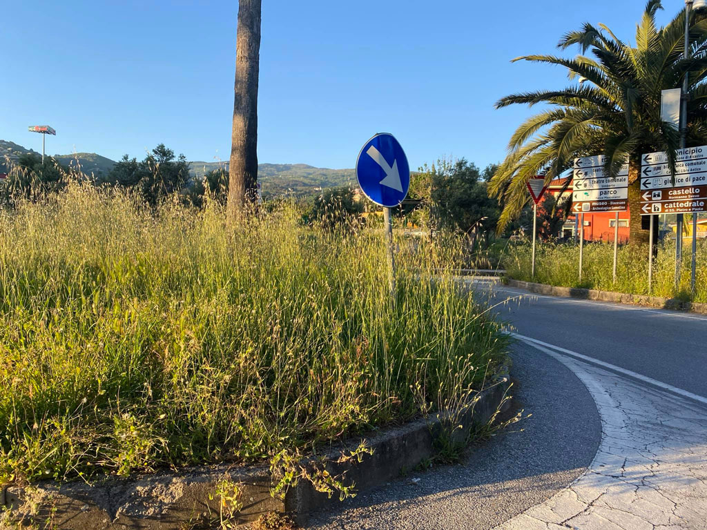 Lamezia, Piccioni su verde pubblico in città: "Situazione inaccettabile, Commissari intervengano"