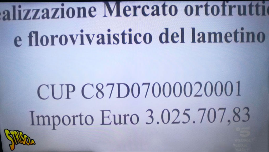 rotoli1.jpg