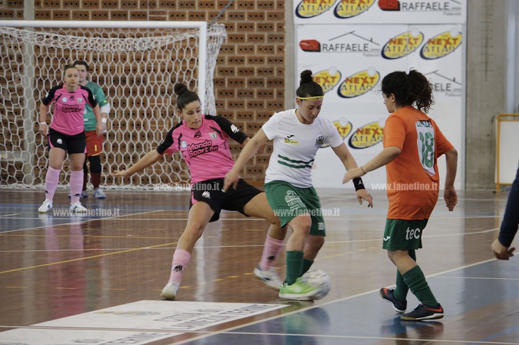 royal3-03122017-183440.jpg