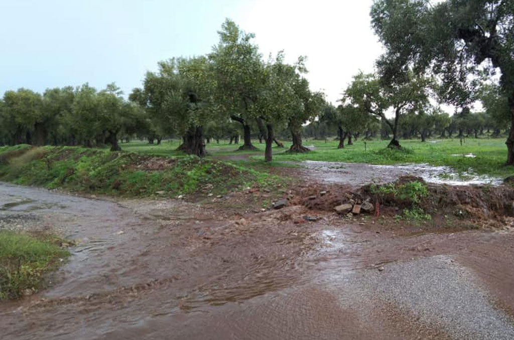 s-pietro-a-maida-201955.jpg
