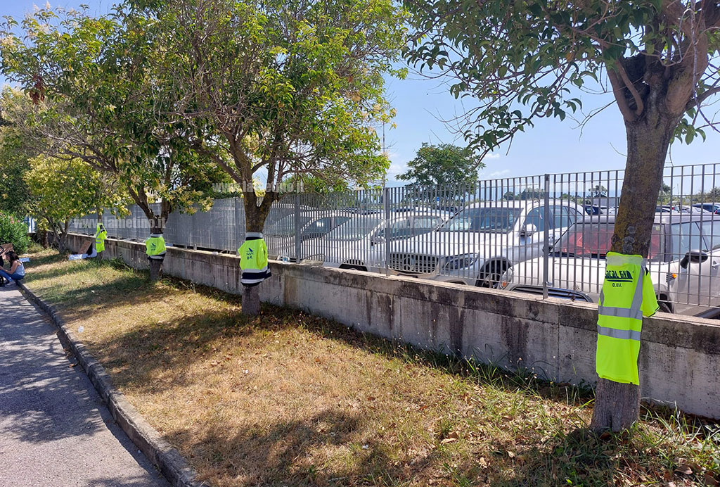 Lamezia, Cristiano (Italexit): “Preoccupa situazione lavoratori Sacal”
