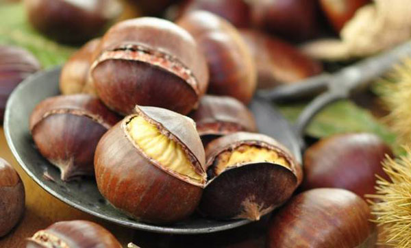 Torna la sagra della castagna il 3 novembre ad Angoli di Serrastretta