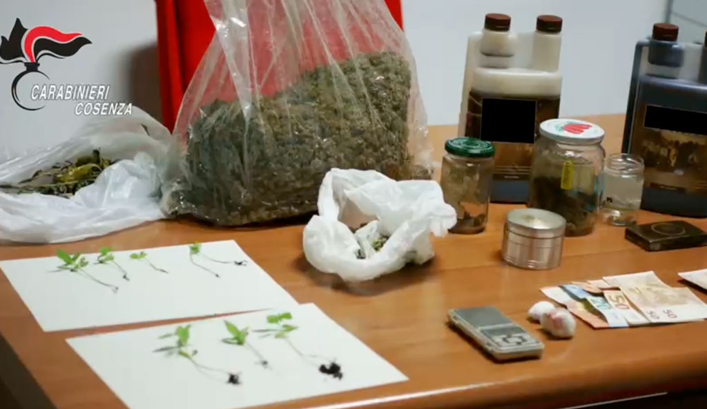 Operazione "Salamandra": smantellate piazze di spaccio a Cosenza e nell'hinterland - VIDEO