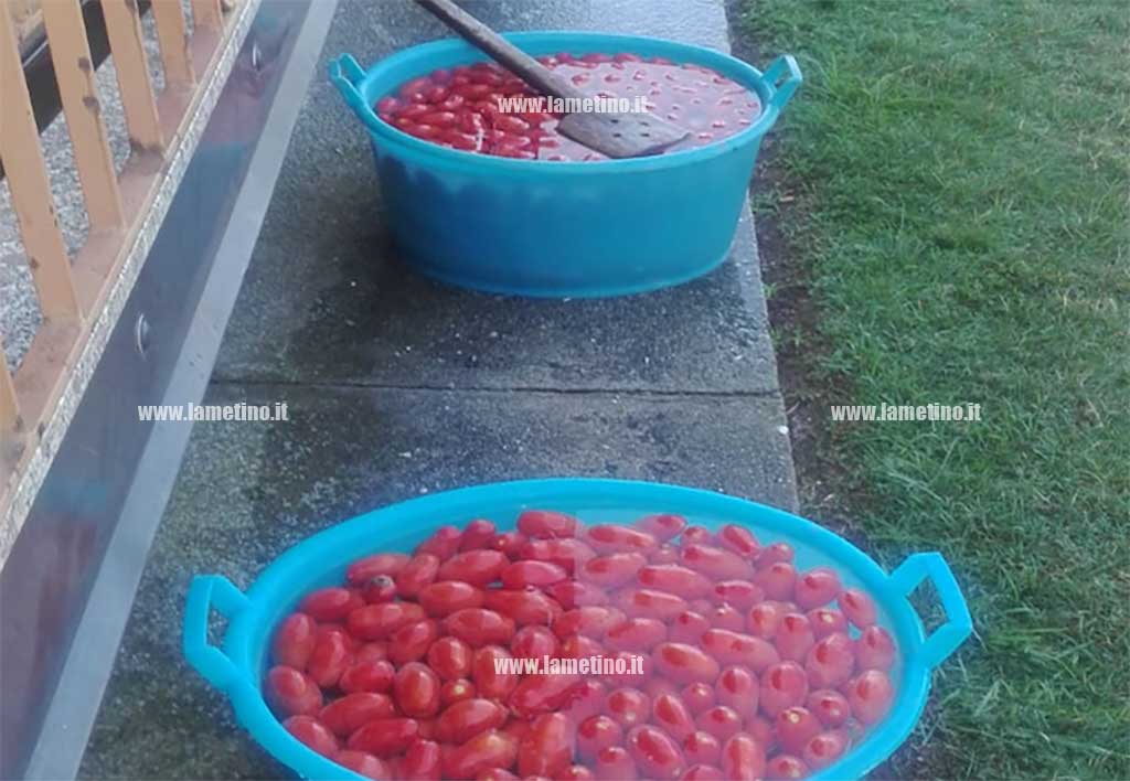 salsa-3.jpg