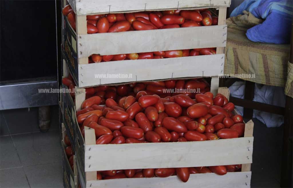 salsa-di-pomodori.jpg