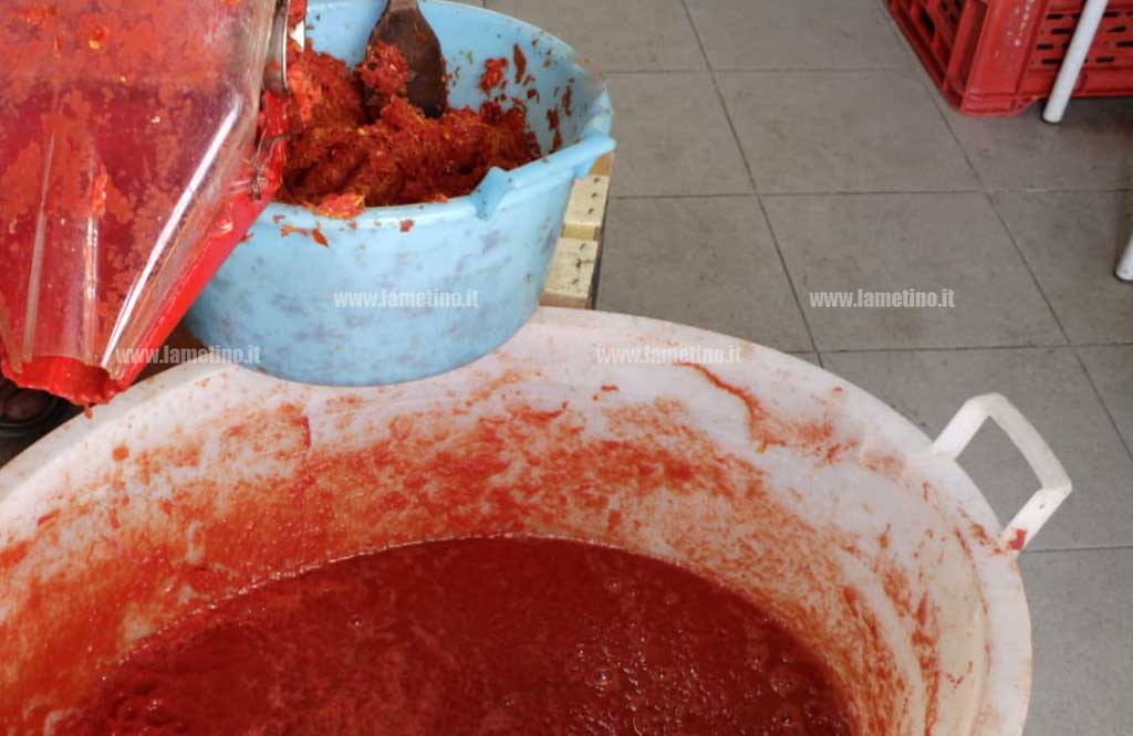 salsa-pomodoro-20191.jpg