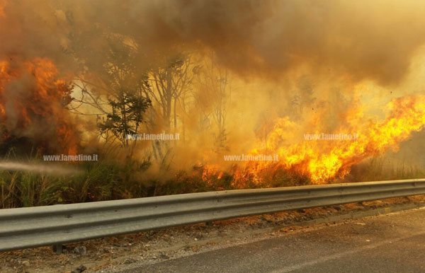 Vasto incendio su SS 280 direzione Catanzaro, traffico in tilt - VIDEO