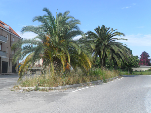 saverio-gatti-quartiere-capizzaglie-3.jpg